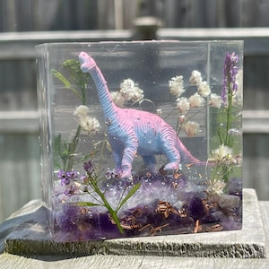 May include: A clear cube filled with purple amethyst crystals, copper flakes, and dried flowers. A pink and blue dinosaur figurine is standing in the center of the cube.