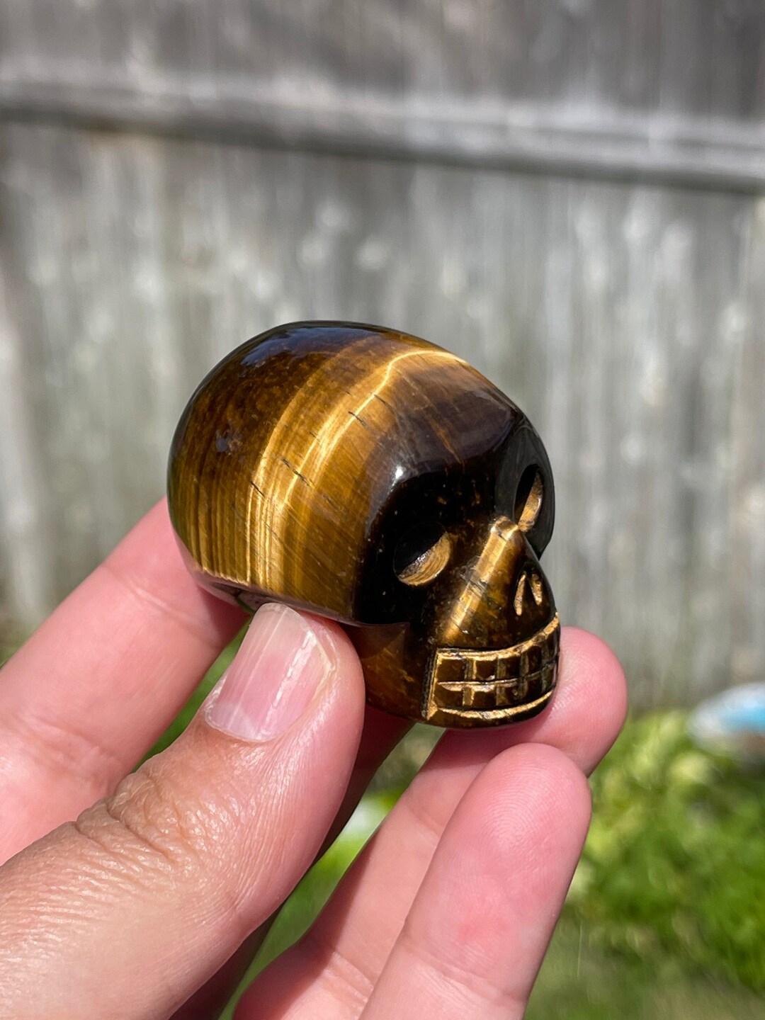 Tiger Eye Skull Healing Crystal Memento Mori Tigereye Stone Etsy UK