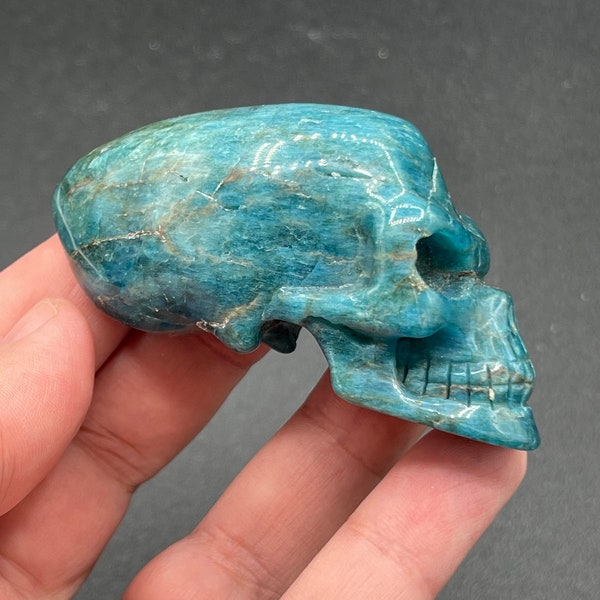 Blue Apatite Large Alien Skull Healing Crystal 100% Natural Crystal Throat Chakra Weight Loss Star Being Cosmic Outer Space 1009