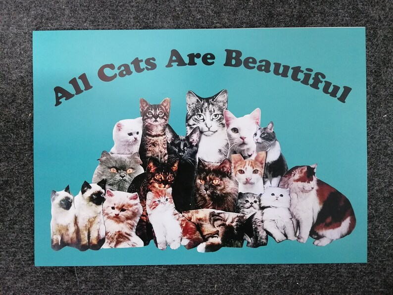 Mini-poster all Cats Are Beautiful ACAB - Etsy
