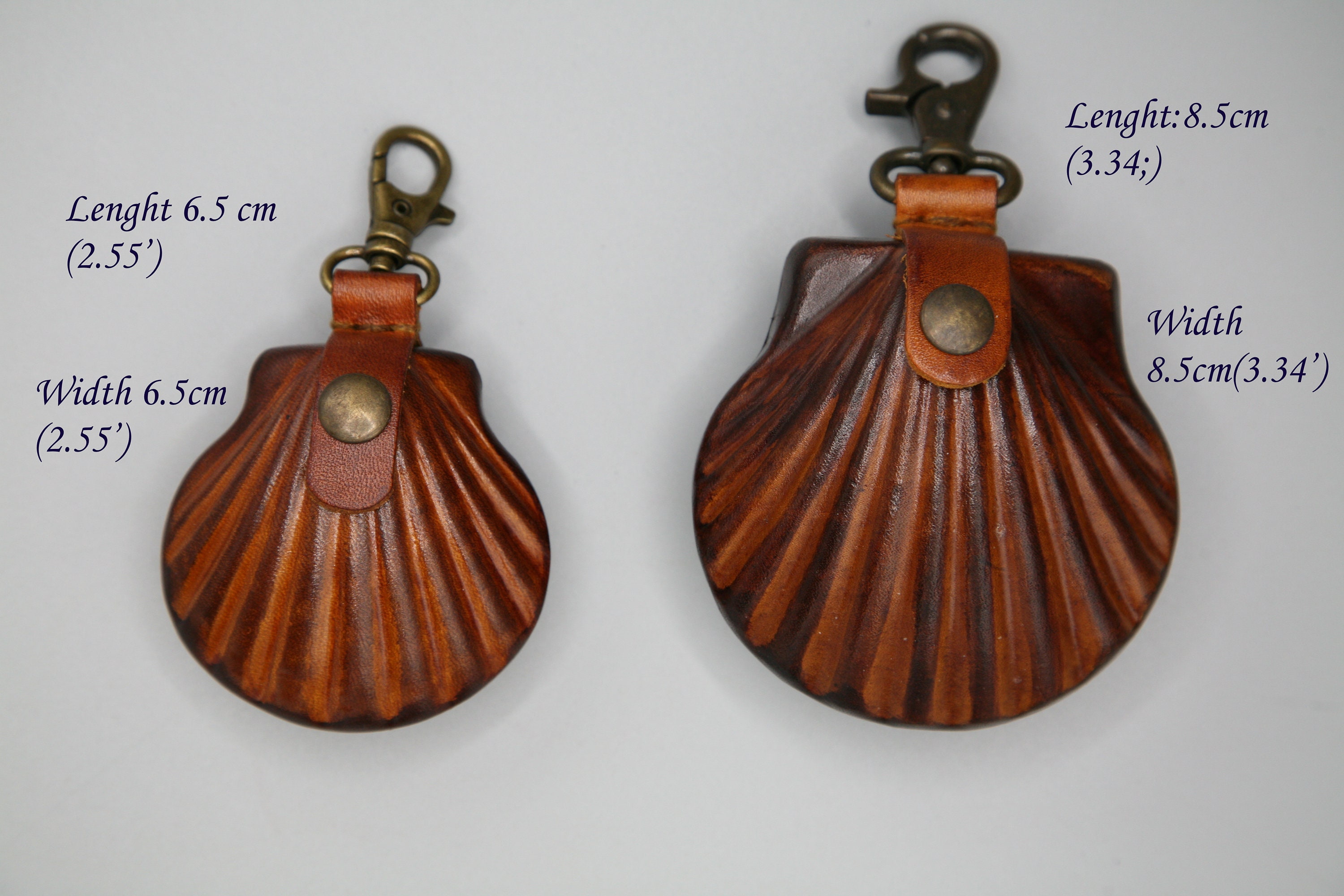 Sea Shell Coin Purse Etsy Ireland