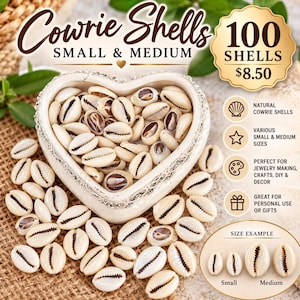 May include: A collection of 100 small and medium natural cowrie shells, presented in a heart-shaped white dish. The shells are off-white with dark brown, slit-like openings. A size comparison chart shows small and medium shell examples.