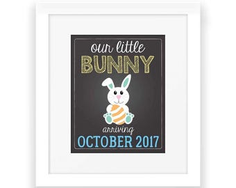 May include: A chalkboard style announcement with a white bunny holding a colorful Easter egg. The text reads "our little bunny arriving OCTOBER 2017".
