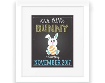 May include: A white framed chalkboard sign with the text "our little bunny arriving NOVEMBER 2017". A cartoon bunny holding a decorated Easter egg is in the center of the sign.