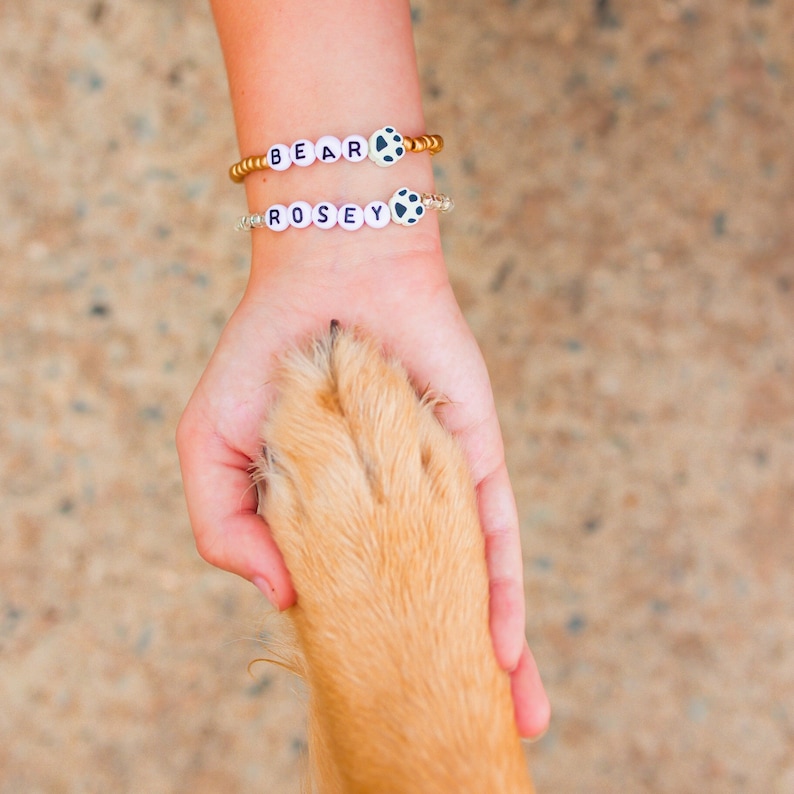 K&ouml;nnte beinhalten: Eine Hand h&auml;lt die Pfote eines Hundes. Die Person tr&auml;gt zwei Armb&auml;nder mit den Namen "BEAR" und "ROSEY" darauf.