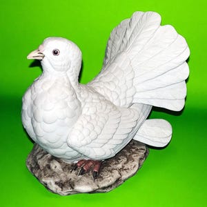 White Doves Andrea - Etsy