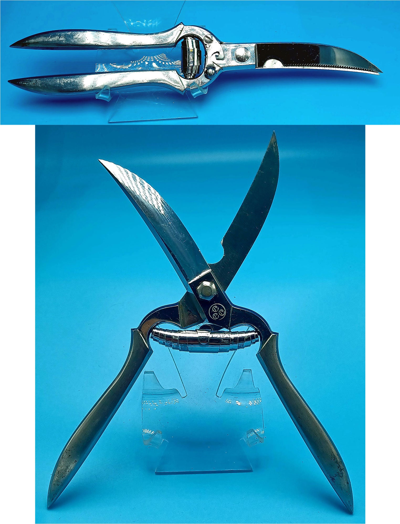 Stainless Steel Poultry Shears, Chicken Scissors with PVC Case - Tenartis  Made in Italy..