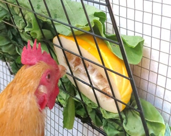 Peck-It-Clean Veggie Feeder voor kippen, klein (10" x 10"), zwart - inclusief roosterpaneel, koord, knevel en kabelbinders