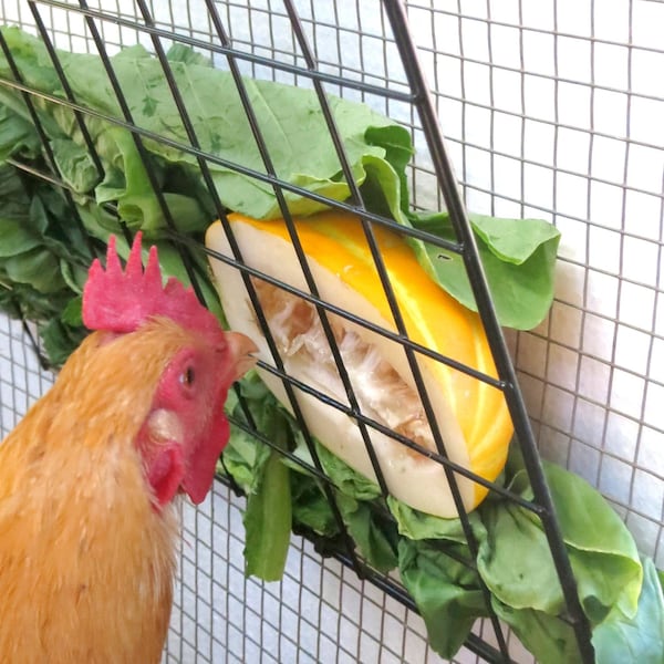 Peck-It-Clean Veggie Treat Feeder for Chickens, Small (10" x 10"), Black – Includes Grid Panel, Cord, Toggle, and Cable Ties