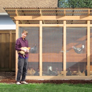 simple pigeon loft designs drawings