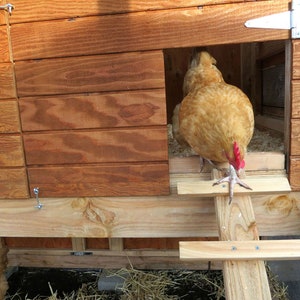 The Garden Loft Large Walk-In Chicken Coop Plan eBook PDF Instant Download, U.S. and Metric Units Feet/Inches and MM Bild 8