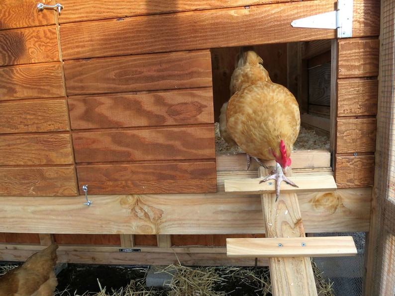 The Garden Loft Large Walk-In Chicken Coop Plan eBook PDF Instant Download, U.S. and Metric Units Feet/Inches and MM Bild 8