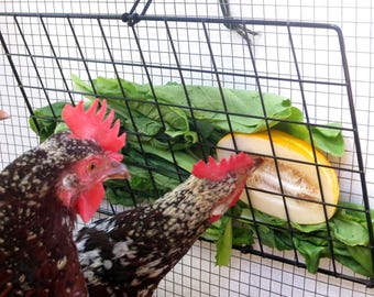 Peck-It-Clean Veggie Treat Feeder for Chickens, 16&quot; x 10&quot; (Large), Black – Includes Grid Panel, Cord, Toggle, and Cable Ties