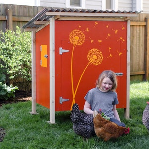 May include: A red chicken coop with dandelion stencils on the side. A young person is standing near the coop with three chickens. Two of the chickens are brown and one is black and white.