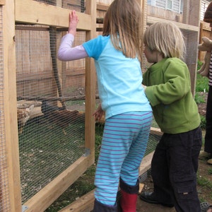 The Garden Coop Walk-In Chicken Coop Plan eBook PDF, Instant Download, U.S. and Metric Units Feet/Inches and MM image 4