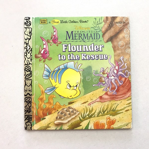 Flounder Book Etsy