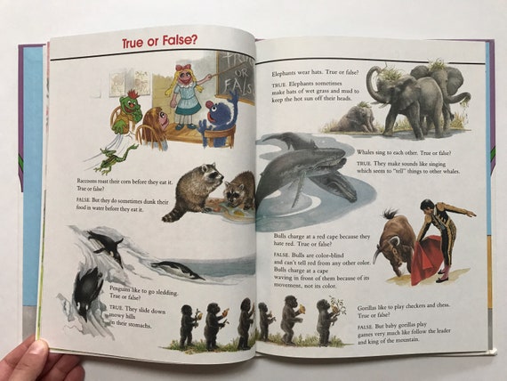 1989 on My Way With Sesame Street Book Volume 4 Animals - Etsy 1989 on My Way With Sesame Street Book Volume 4 Animals - Etsy