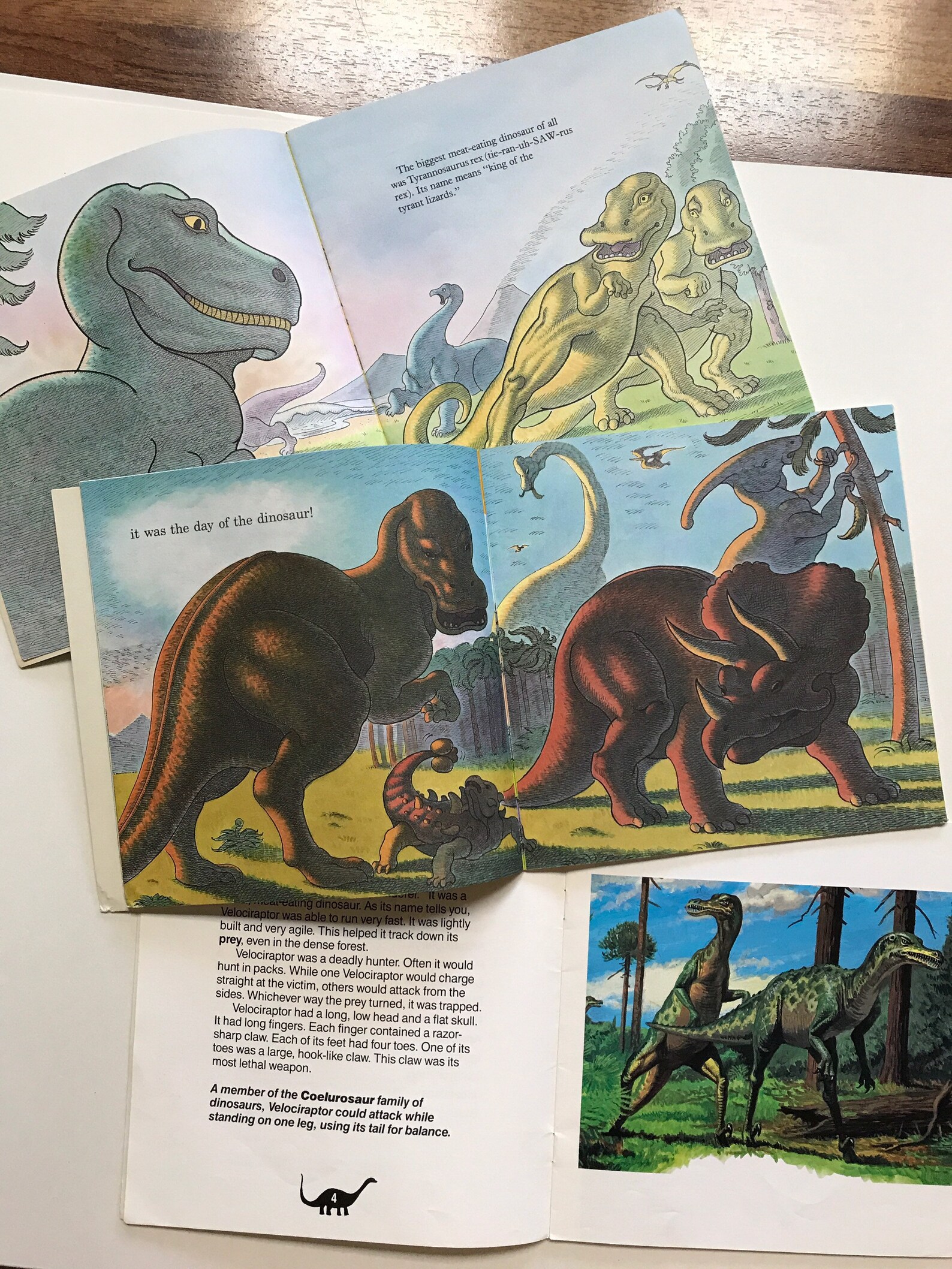 Vintage Dinosaur Books Golden Look Look Book for Kids Children Soft