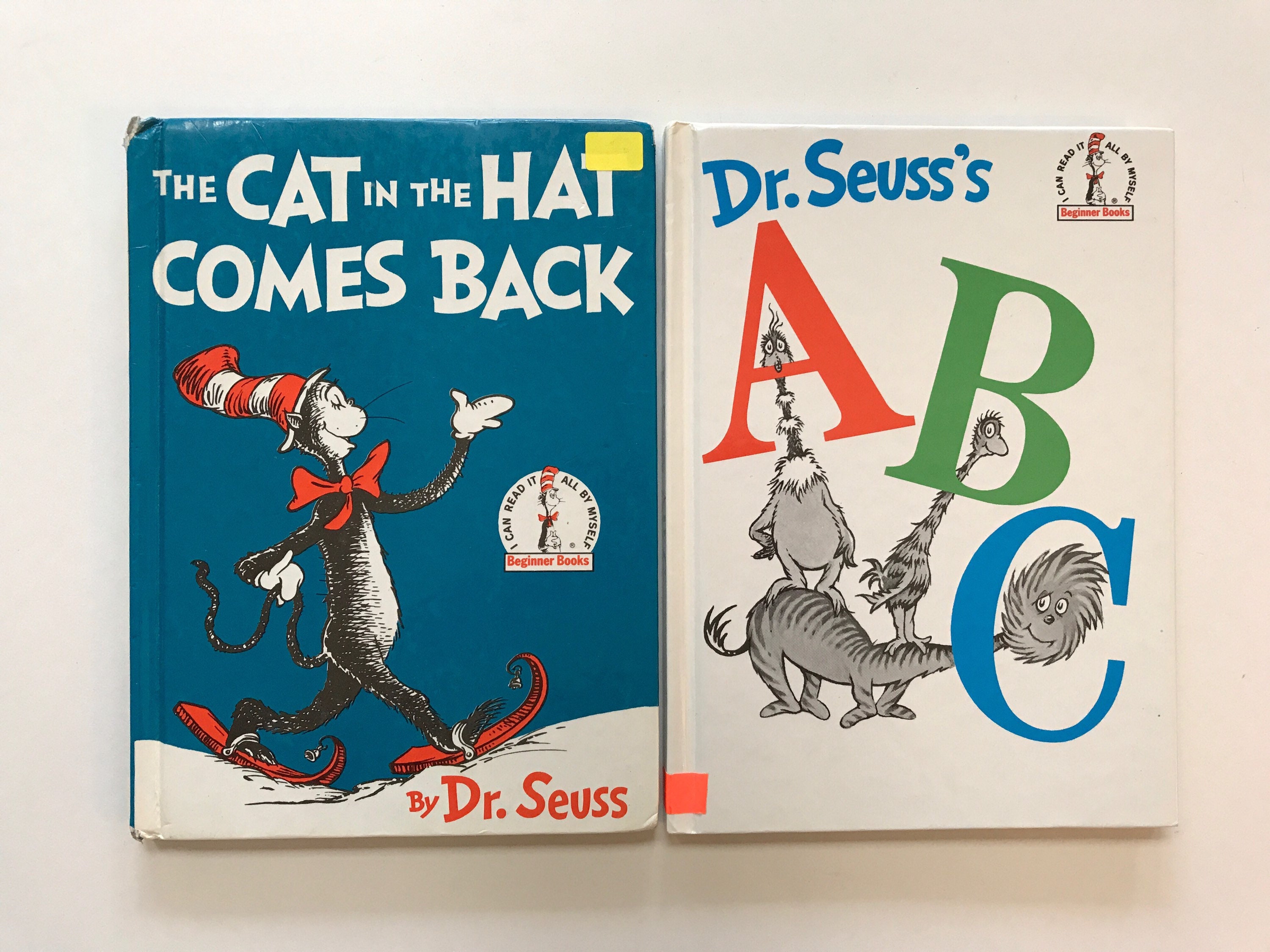 Dr Seuss Cat in the Hat Comes Back ABC Kids Childrens Books Beginner