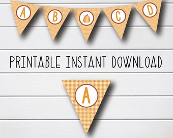 Fall Pumpkin Banner - Baby Shower Decor - Birthday Party - Girls Boys Party - Little Pumpkin Baby Shower - Printable Banner Personalized