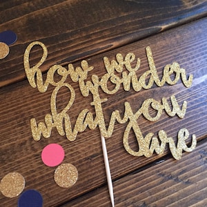 How We Wonder What You Are Cake Topper - Gender Reveal Cake Topper - Gender Reveal Party Decor - Rose Gold Silver Pink White Blue Green Purp