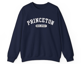 Princeton New Jersey Sweatshirt, Crewneck Sweatshirt, Collegiate Design