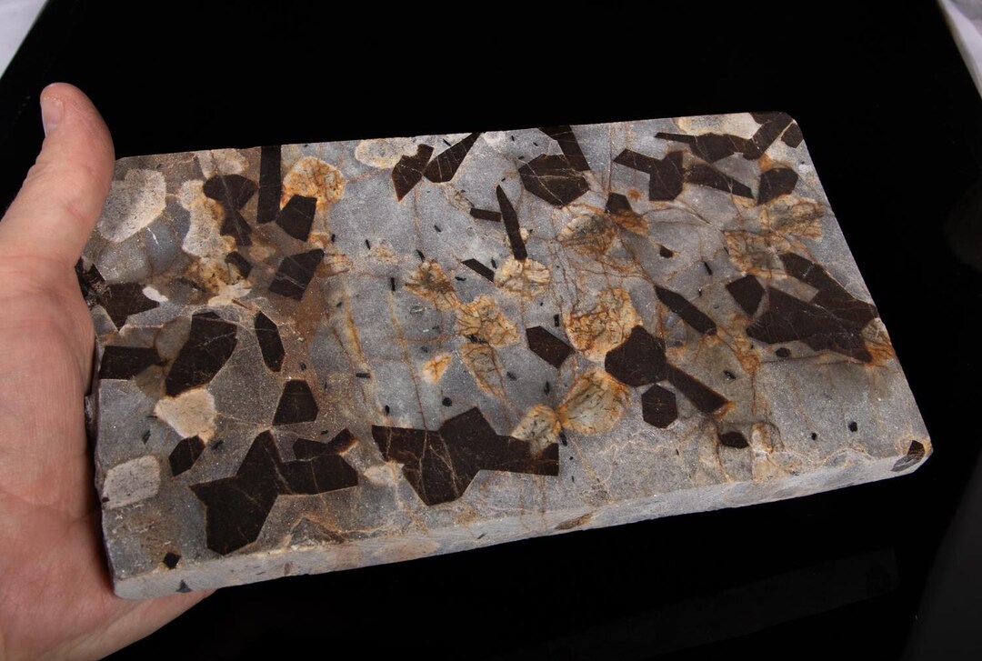 STAUROLITE in MUSCOVITE Shale With Feldspar Inclusions Sliced Stone ...