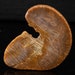 see more listings in the Palm stone/ Polished section