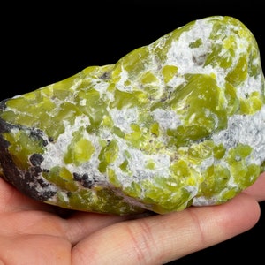 Green LIZARDITE polished tumbled palm stone 10.2 oz healing chakra crystal specimen 3823T NORWAY imagem 3