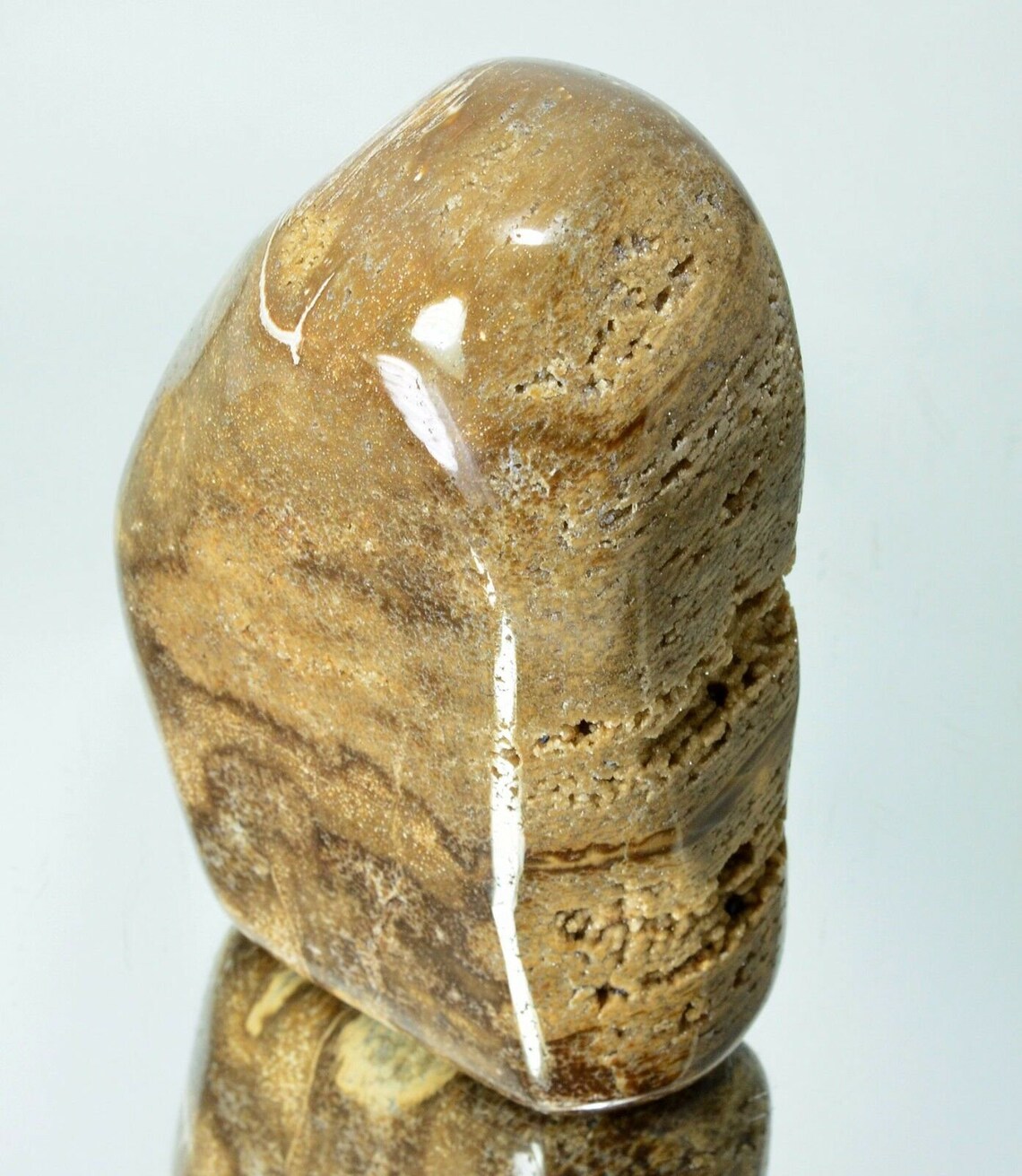 PETRIFIED WOOD Polished Stone Crystal Specimen 2.75 Lbs 9114 Etsy