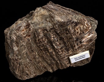 Rare PHLOGOPITE сrystal 1.58 lbs raw stone specimen #6940T - NORWAY
