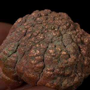 Könnte beinhalten: Ein rohes Kupfermineral mit einer abgerundeten, traubigen Form. Die Oberfläche weist einen metallischen, rotbraunen Glanz mit kleinen, knubbeligen, kugelförmigen Knötchen und tiefen, dunklen Spalten auf, die Anzeichen von grüner Oxidation zeigen.