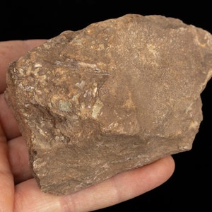 May include: A rough, brown rock with a textured surface. The rock is held in a hand against a black background. The rock has a mix of light and dark brown tones, with some areas appearing lighter.