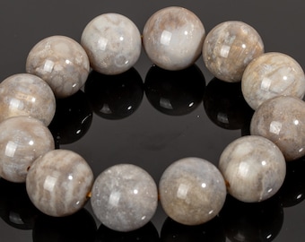 Fossil Coral polished crystal bracelet beads chakra healing stone 20 mm #5731P - INDONESIA