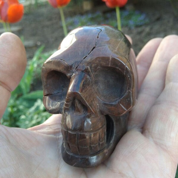 3" Petrified wood Carved Crystal Skull polished healing stone