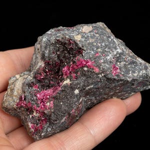 Puede incluir: Una mano sosteniendo una roca gris rugosa con formaciones cristalinas magenta vibrantes. La superficie de la roca está texturizada con parches grises oscuros y grises claros, y los cristales magenta están agrupados en bolsas.