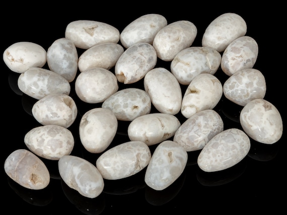 27x WHITE AGATE Polished Tumbled Stone 1.24 Lbs Healing Chakra