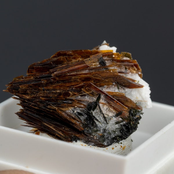 Astrophyllite crystal 0.18 oz thumbnail stone specimen in box #7366T