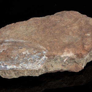 May include: A rough, irregularly shaped, reddish-brown stone with a lighter, almost white, patch on one side. The stone has a textured surface and appears to be a natural material, possibly a piece of rock or mineral.