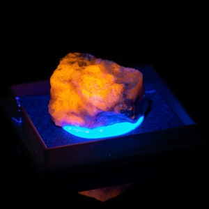 May include: A mineral specimen glowing orange and yellow under a blue light. The rock is displayed in a dark box, creating a dramatic contrast against the black background. The mineral's texture is rough and uneven.