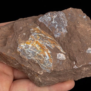 May include: A reddish-brown rock with areas of grey, white, and orange mineral deposits. The rock has a textured surface and is set against a black backdrop.