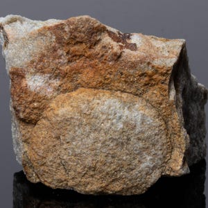 May include: A rough, irregular rock specimen featuring a prominent, circular, textured protrusion on its front face. The stone displays a mix of earthy brown, tan, and light gray mineral tones with a coarse, granular surface throughout the entire piece.
