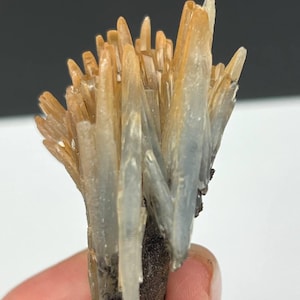 Puede incluir: Un grupo de formaciones cristalinas translúcidas y de color claro con una base marrón. Los cristales tienen una apariencia en capas, con algunas secciones que exhiben un tono naranja pálido. El fondo es un degradado de blanco y negro.
