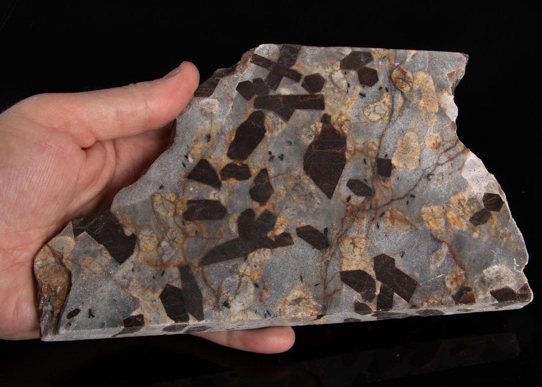 STAUROLITE in MUSCOVITE Shale With Feldspar Inclusions Sliced Stone ...