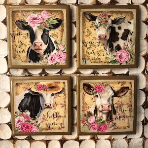 COASTERS! Adorable cow coasters with gold trim