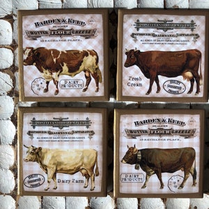 COASTERS! Vintage Dairy Cow coasters with gold trim