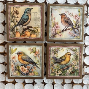 COASTERS! Lovely bird coasters with gold trim