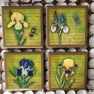 COASTERS! Iris coasters with gold trim