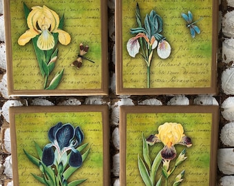 May include: Set of four square ceramic tiles with a vintage floral design. Each tile features a different coloured iris flower with a green background and handwritten text in French. The text includes the words "Septembre de l'année de", "Kivunor Milne", "Cons-laxante", "la quad", "para", "Snyliya", "haruraty", "De 'la no die", "Soleuve de", "menrce", "de Seas", "Pap", "Fouzary", "cove", "decía", "Grande", "Jilan", "da", "N. Erthe", "Ingstig", "Rochard", "Souzacy", "dela", "Monte", "Isle", "s'euve", "de", "muurie", "De", "Scan", "Apptiste", "Souzary", "cane".