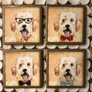 COASTERS! Golden doodle coasters with gold trim